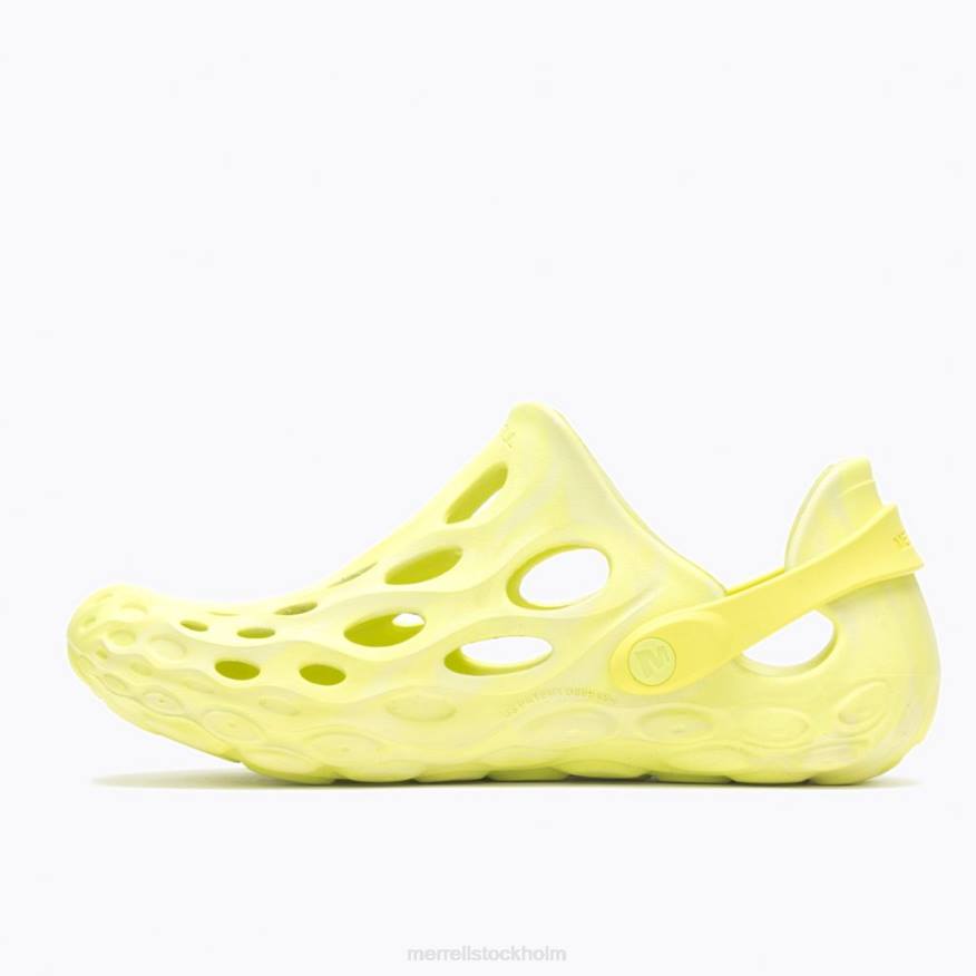 hydro moc (j004244) 08XP871 pomelo Merrell