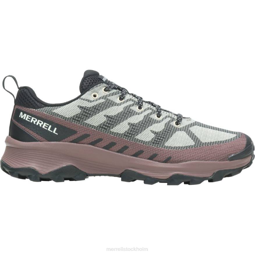 speed eco (j037127) 08XP31 ostron/marron Merrell