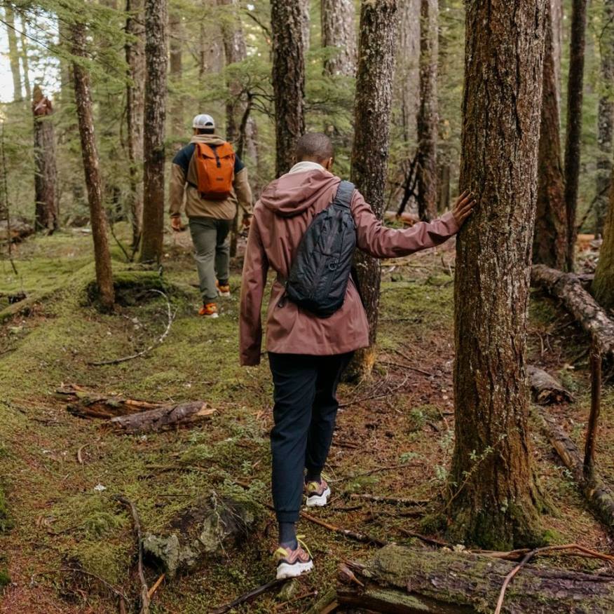 crest 8l sele (jbf25250-168) 08XP436 Almträ Merrell