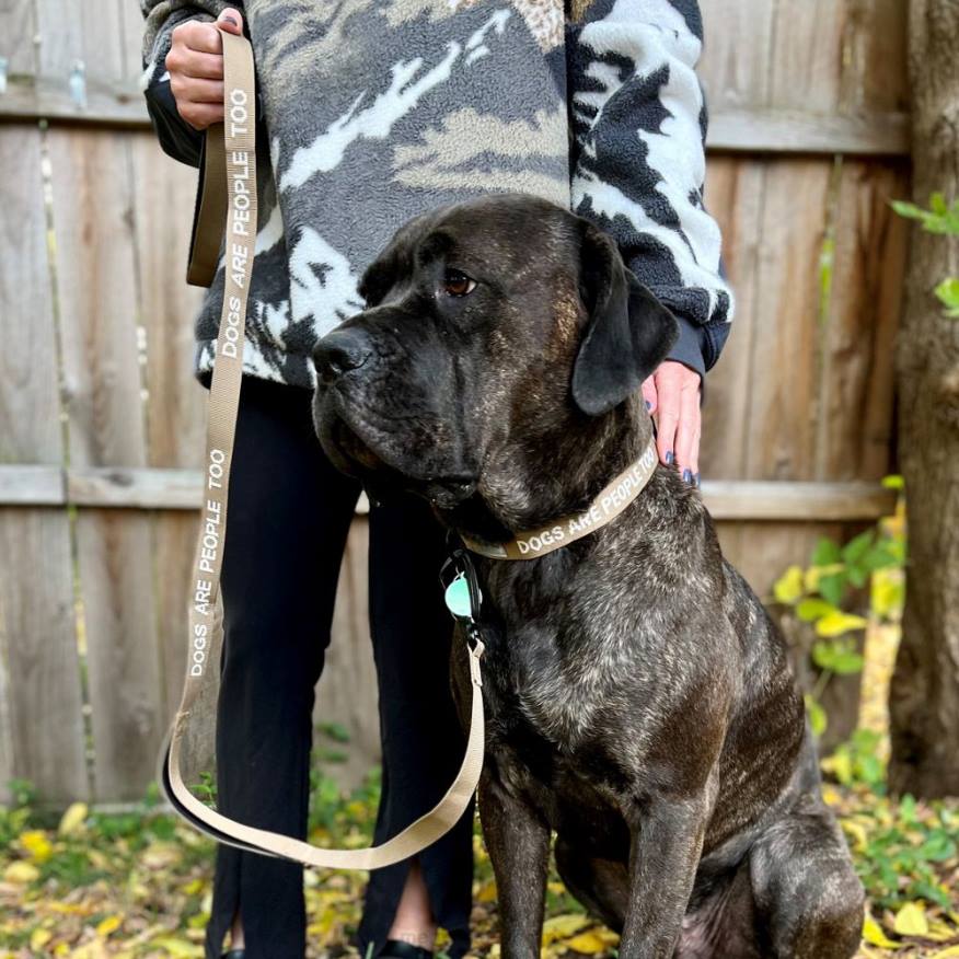 hundkoppel (jaf26689-176) 08XP460 sepia nyans Merrell