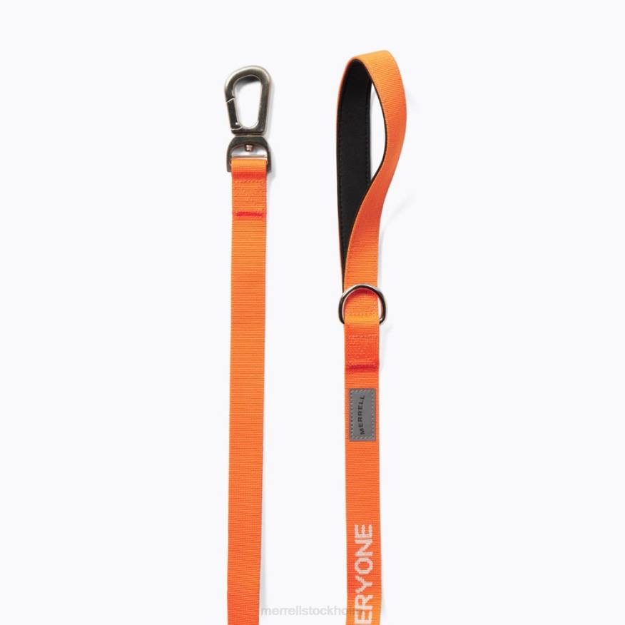 hundkoppel (jaf26689-751) 08XP463 överflöd Merrell